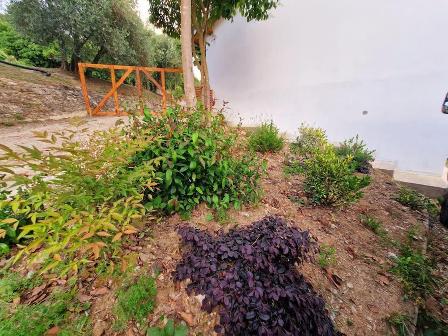Appartamento Ombra Pontassieve Exterior foto